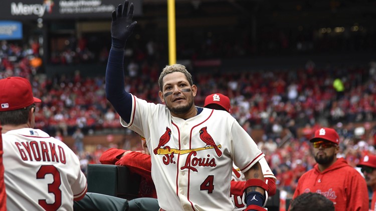 Yadier Molina by Jeff Curry