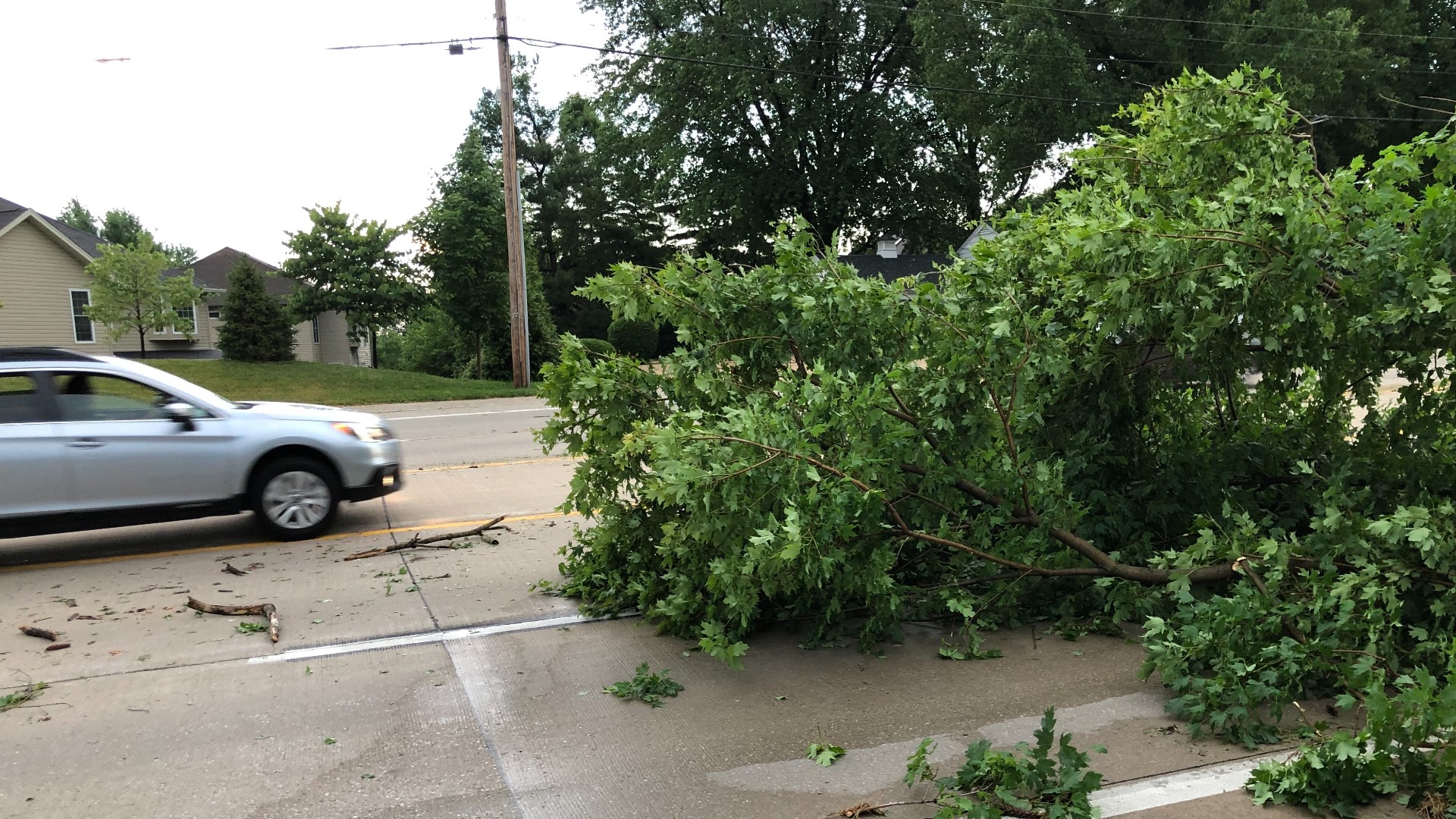 Severe weather knocked down trees and knocked out power Saturday