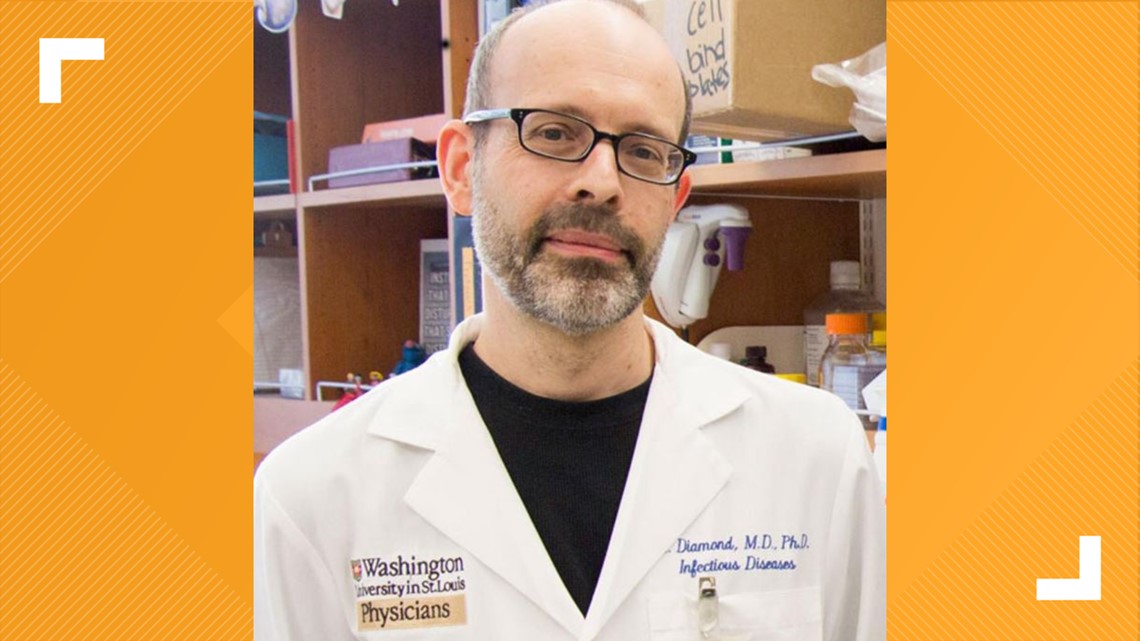 Wash U mouse model COVID19 research