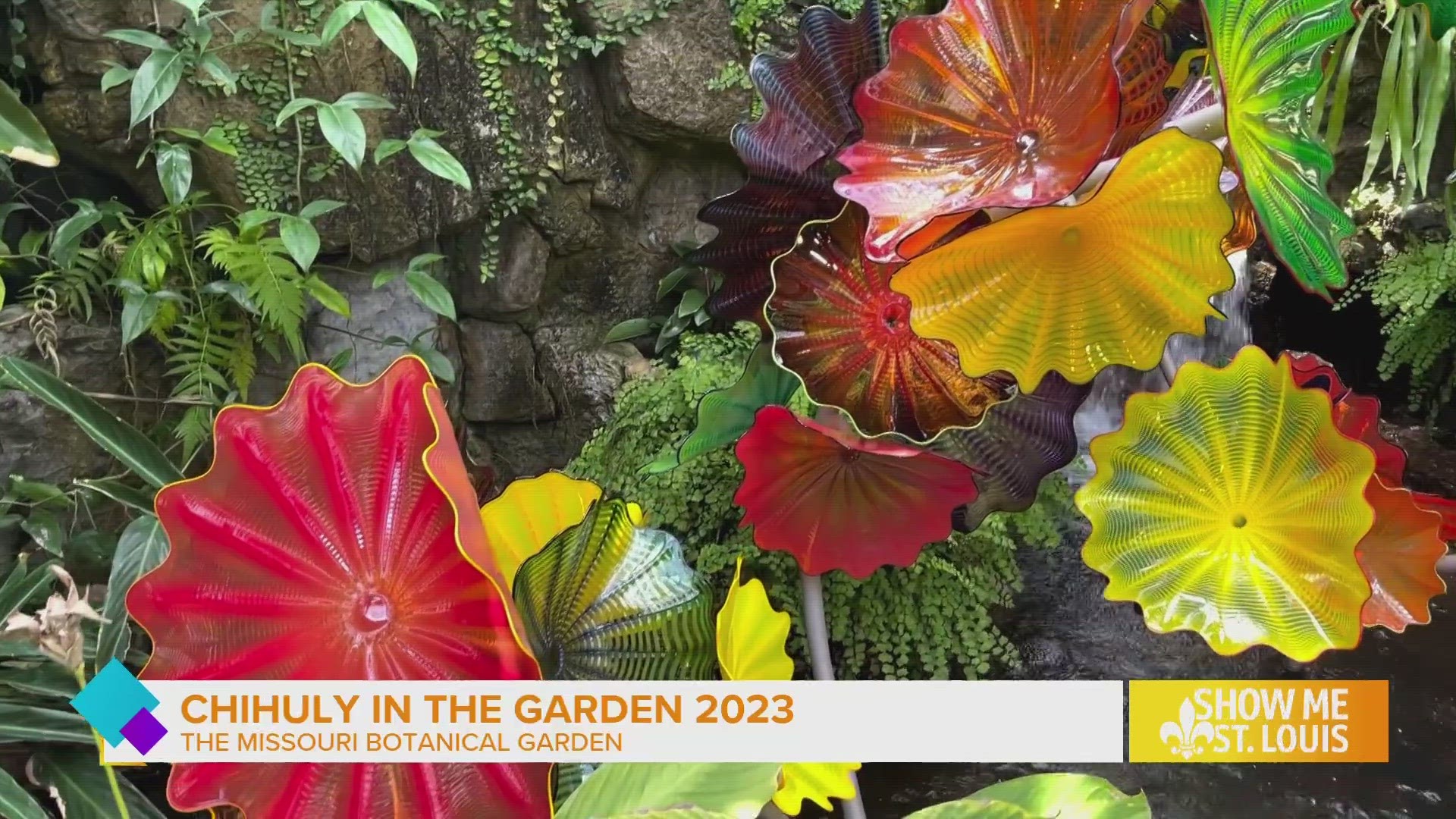 Chihuly in the Garden 2023 presents the work of world-renowned artist Dale Chihuly in a stunning exhibition uniting art and nature.