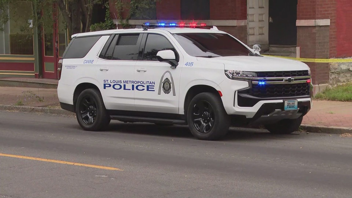 Armed person shot and killed by St. Louis police officer near Hyde Park ...