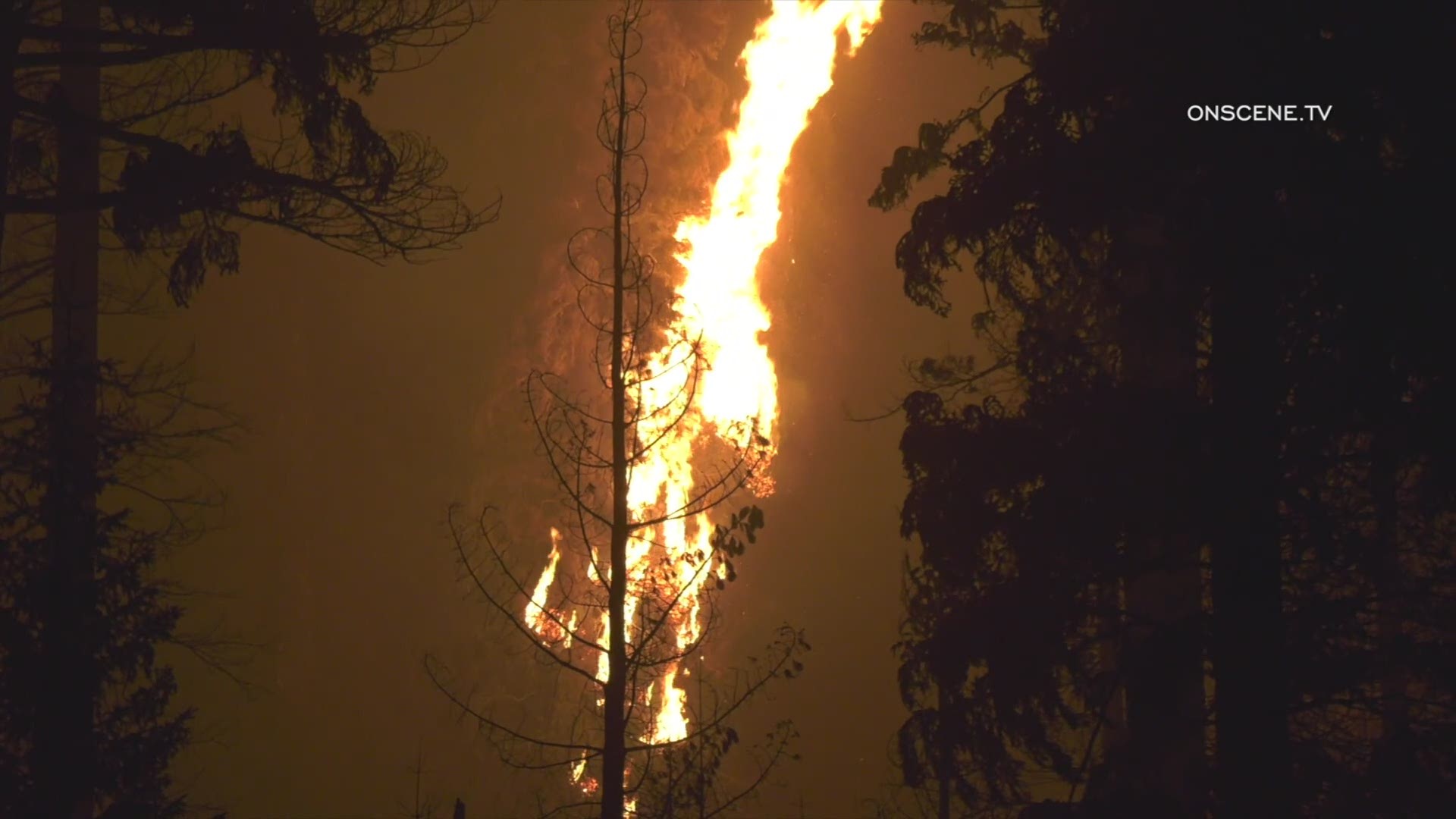 We are tracking more than a dozen wildfires that sparked on Labor Day, including one that burned nearly the entire town of Malden, Wash.