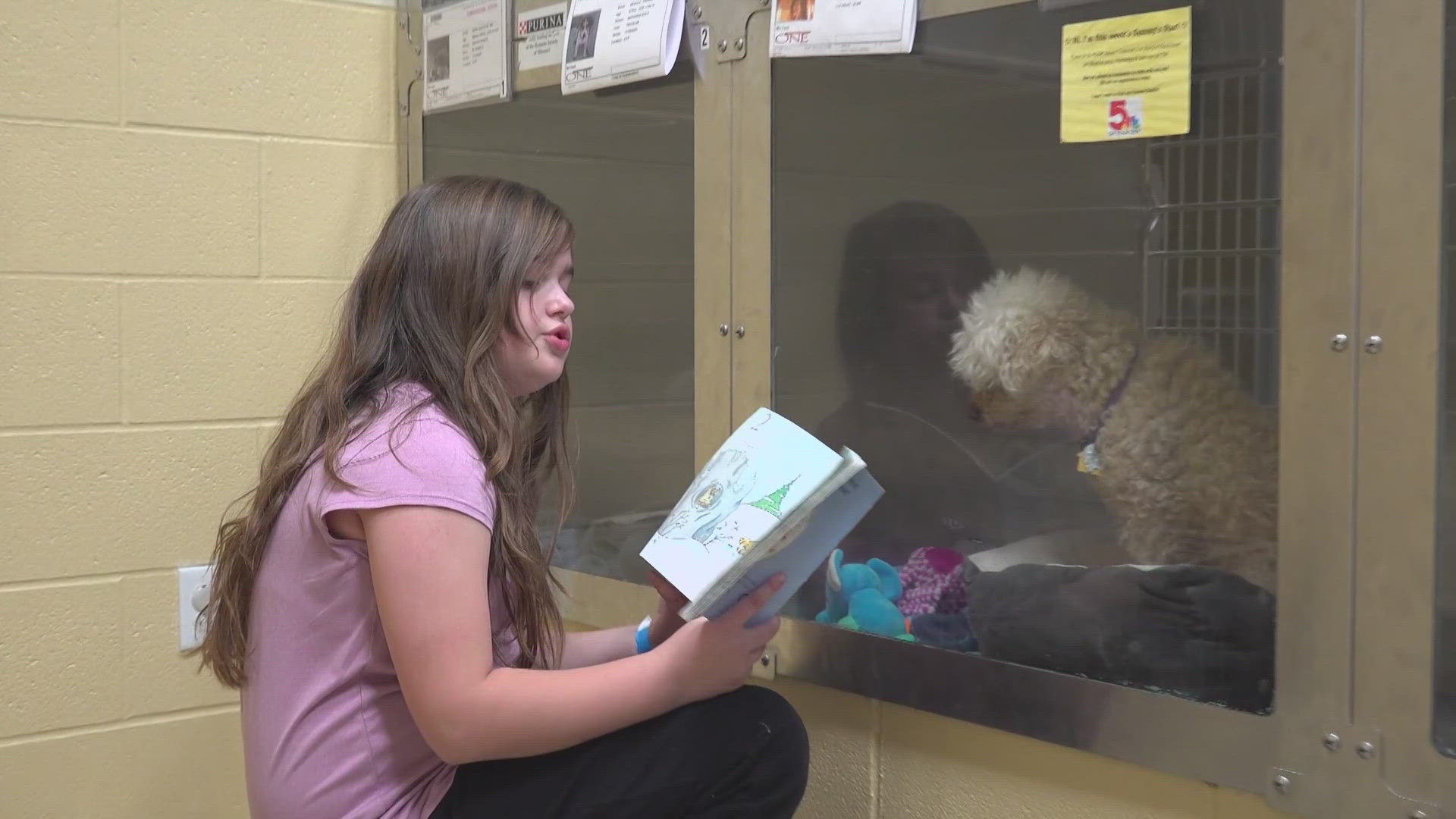 Children dressed in PJs read their favorite holiday bedtime stories to animals waiting for forever homes. The popular annual event serves a dual purpose.