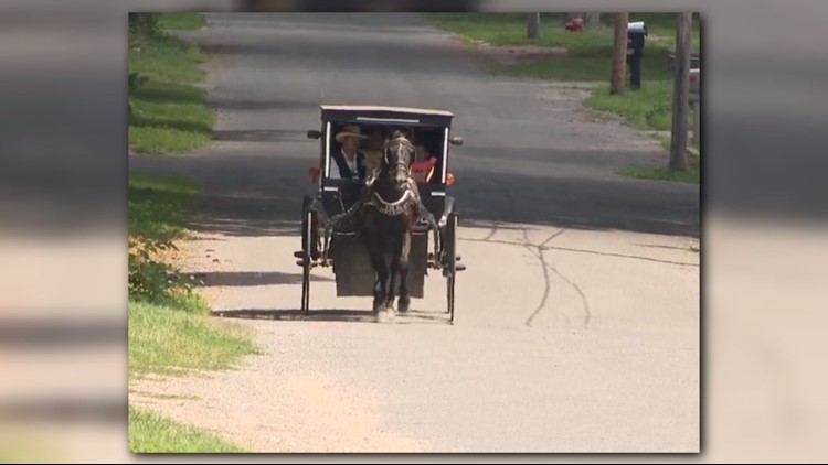 Amish man starts ‘Uber’ service with his buggy