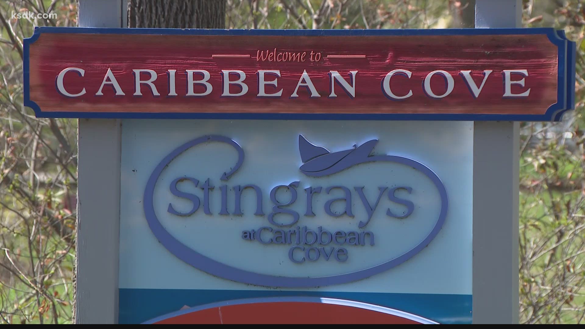 Stingrays at Caribbean Cove presented by SSM Health is open now through October 3.