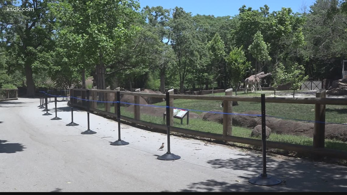 Saint Louis Zoo to close children’s zoo permanently | www.bagssaleusa.com