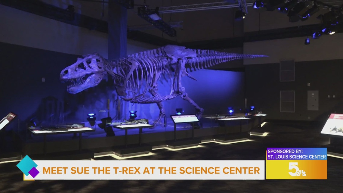 Sponsored: Saint Louis Science Center introduces new exhibit SUE: The T ...