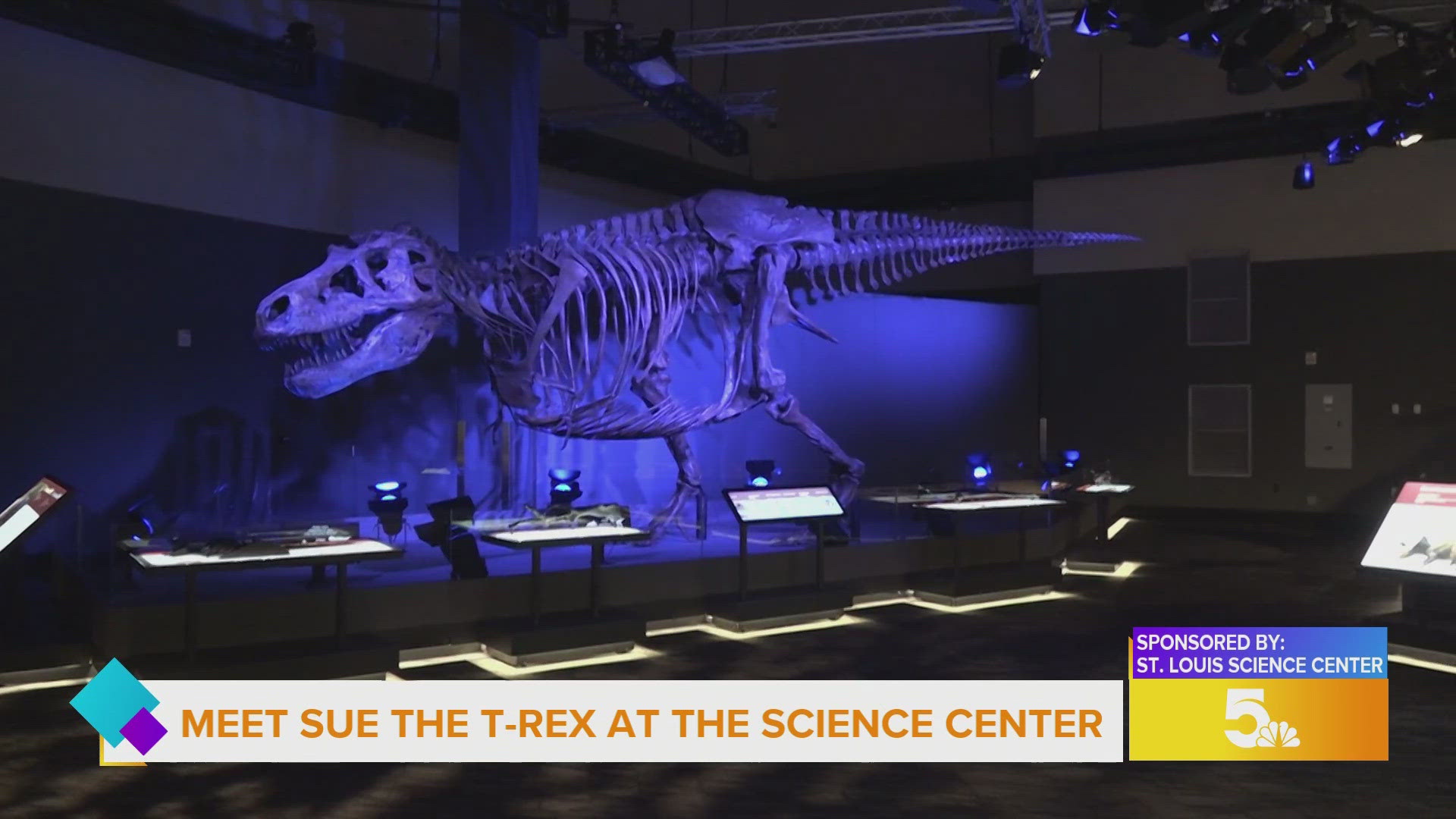 The Saint Louis Science Center will welcome SUE: The T. rex Experience from June into September.