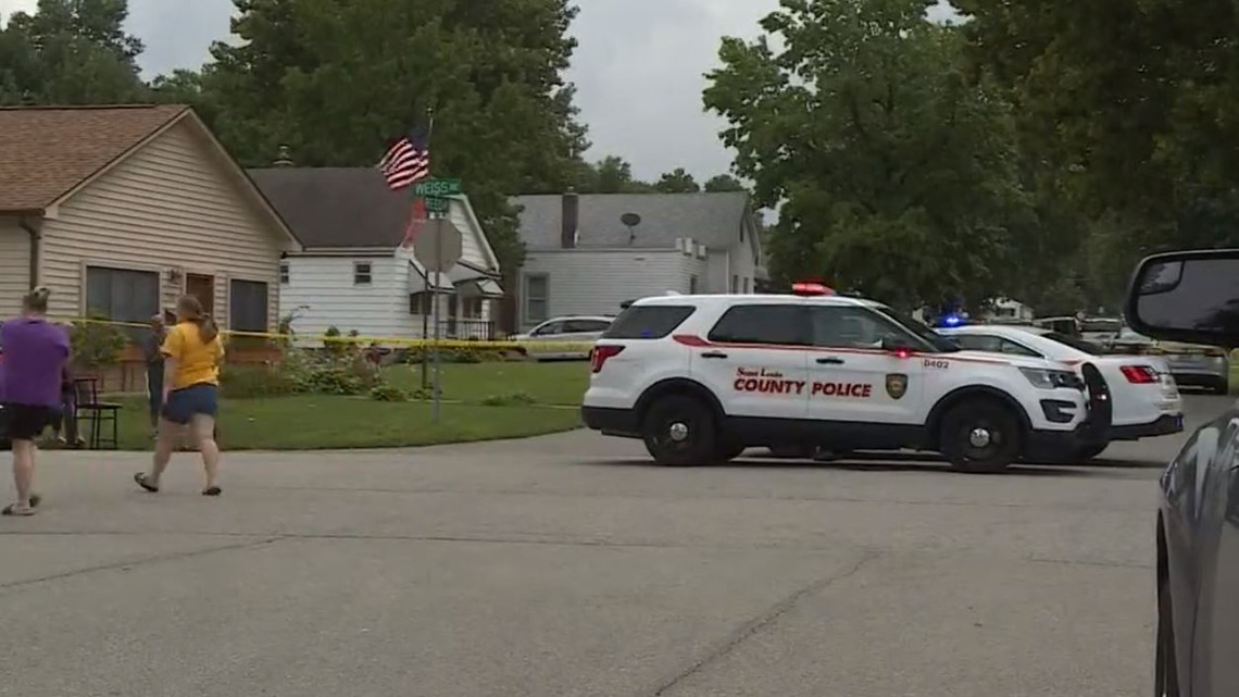 Couple Identified In Apparent Murder-suicide In South St. Louis County ...