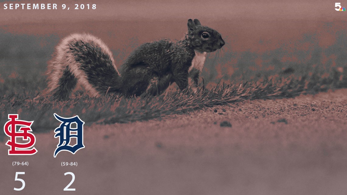 Fun Traditions. Rally Squirrel, Mud Cat band, and the…