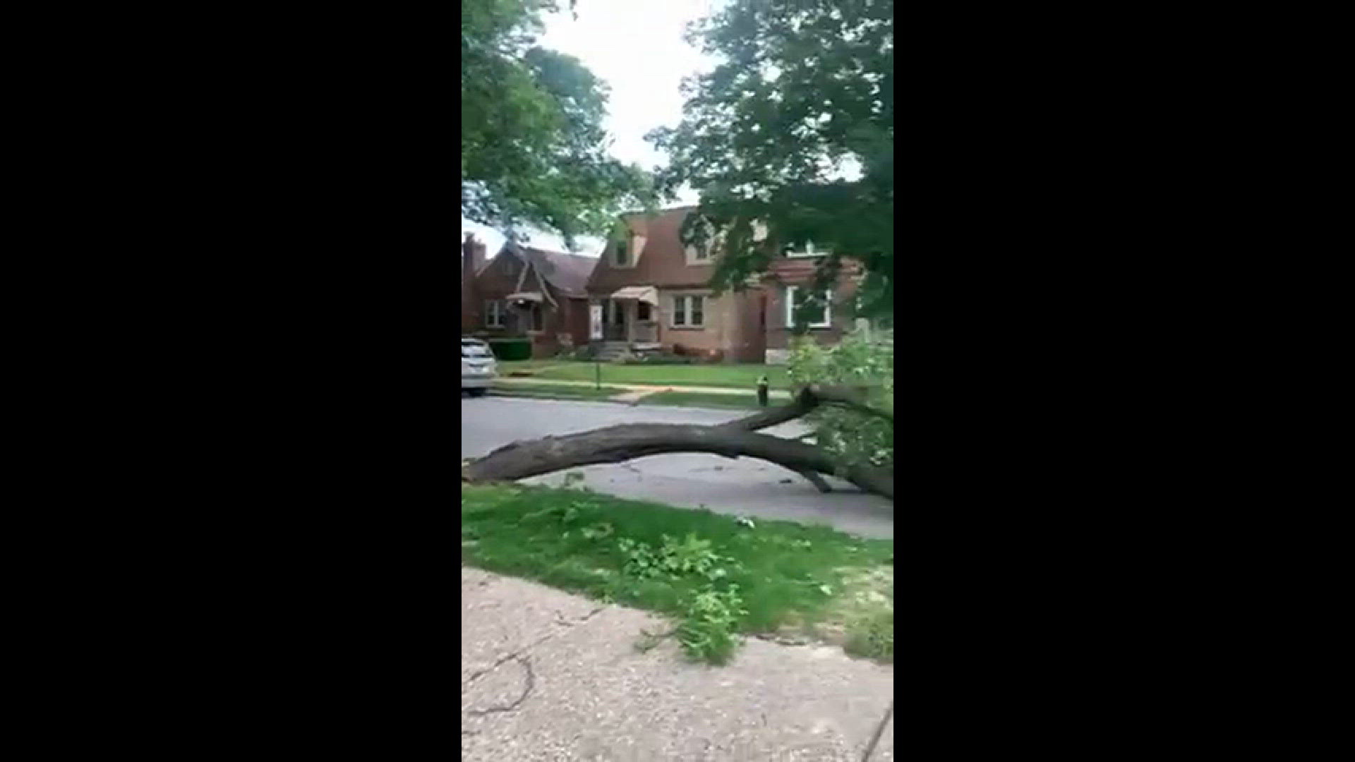 Video of a tree down in the street blocking Walsh west of Macklind
Credit: Dianne Ruck