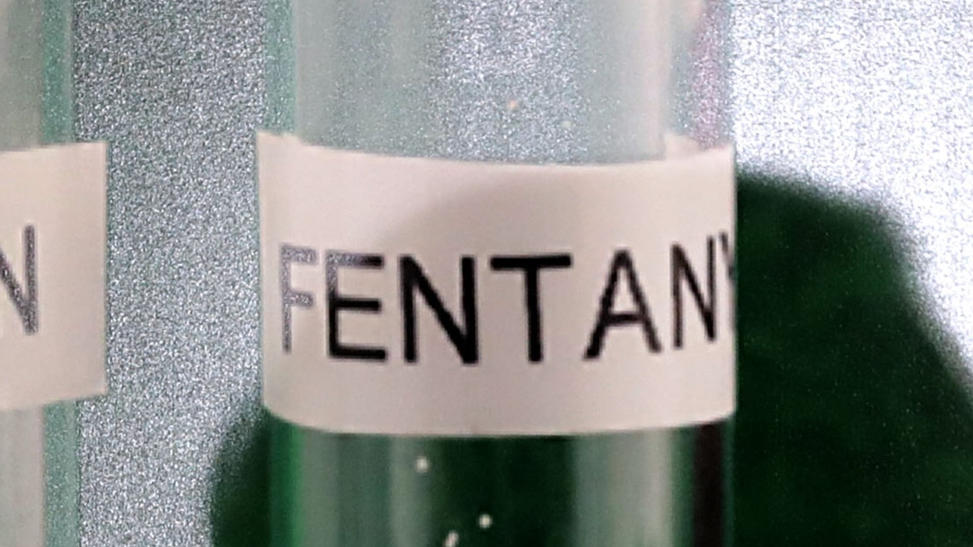 Largest fentanyl bust ever, agents seize 254 pounds of the opioid in ...