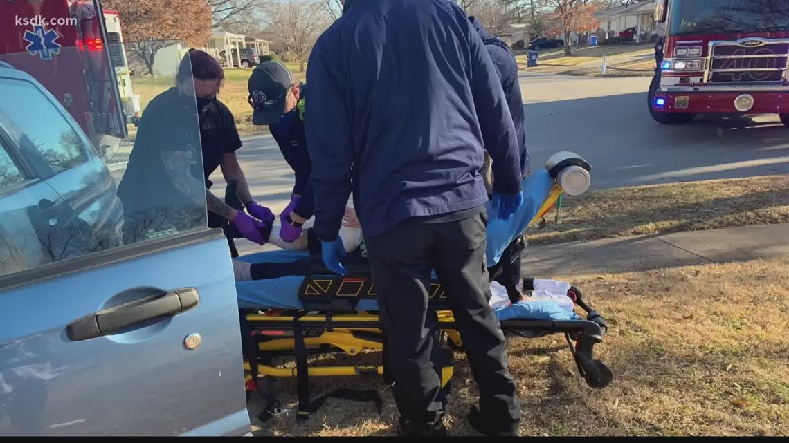 4 women viciously attacked by pack of dogs in Florissant - Vimarsana News