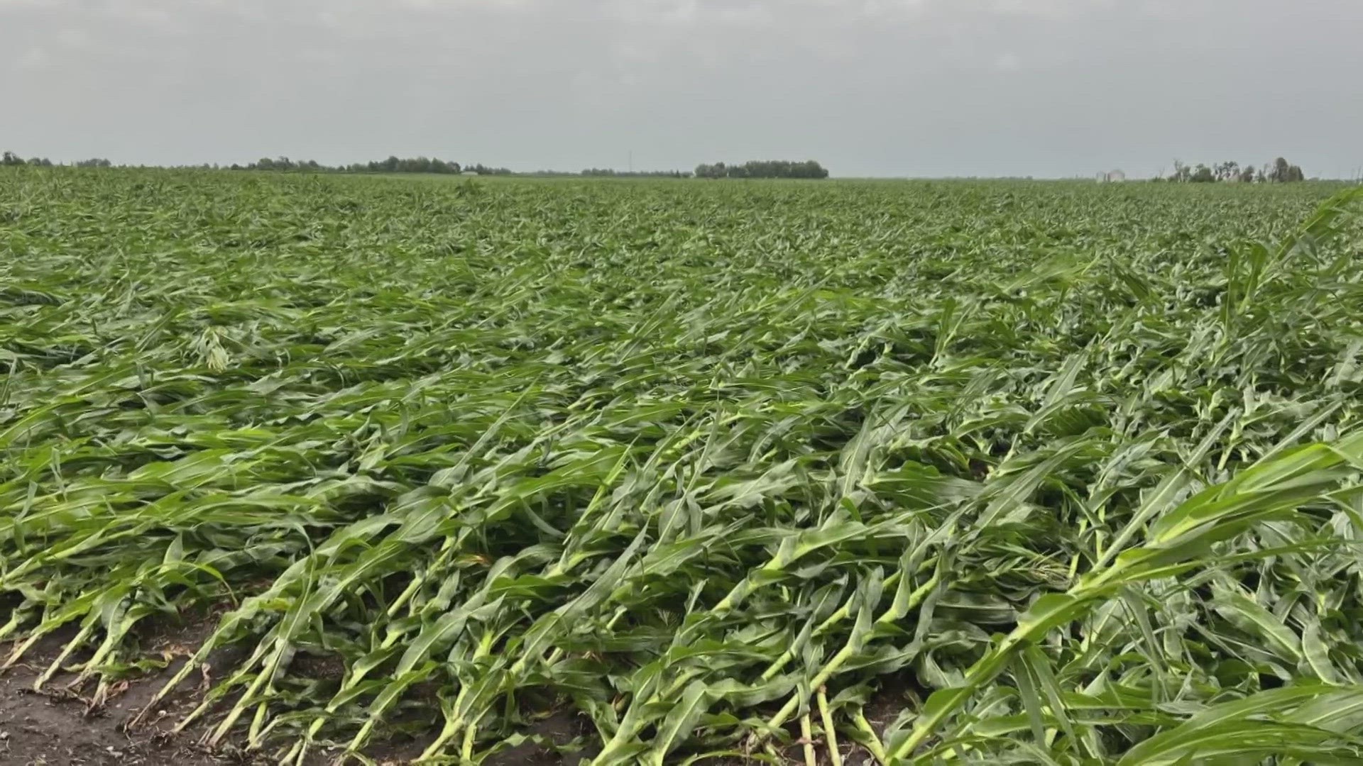 There was no tornado warning in her area of Greene County. The storm was still strong enough to turn over a semi, damage homes, and flatten a cornfield.