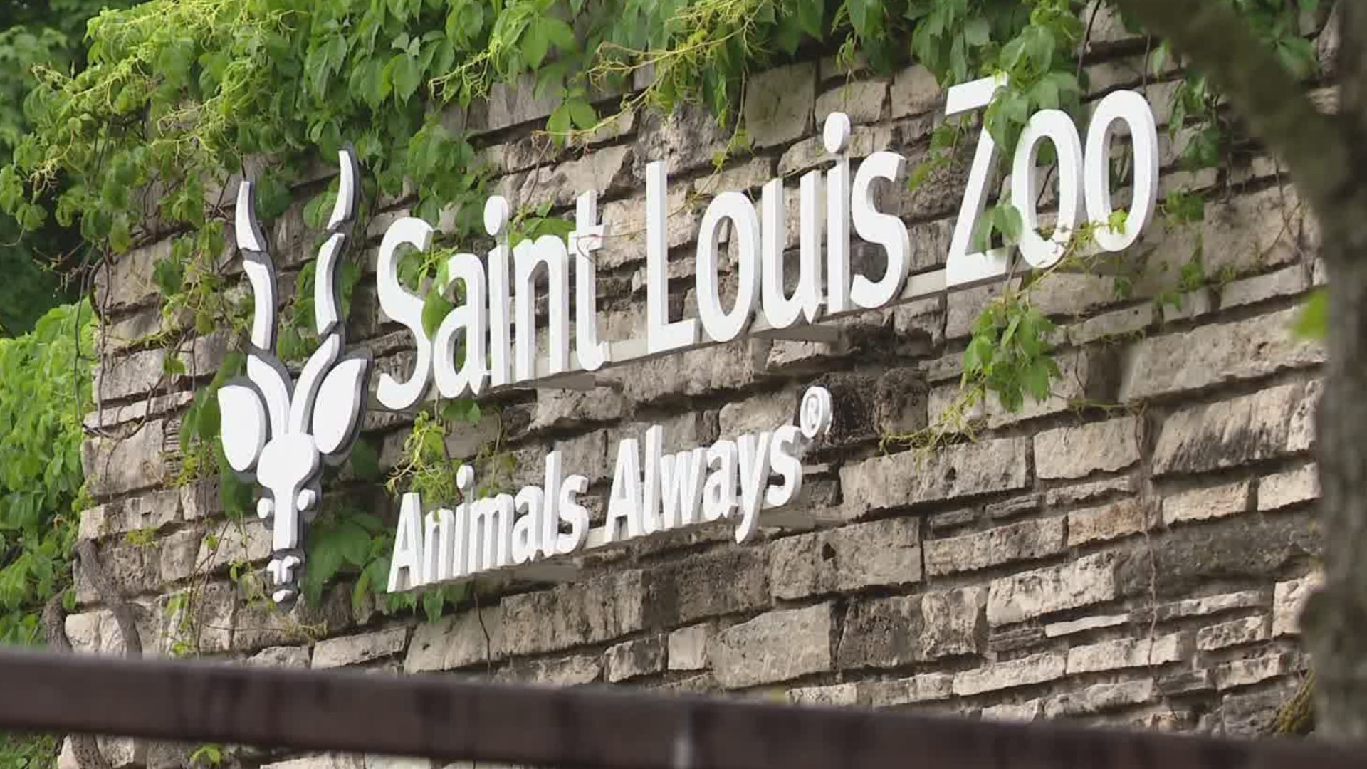 The Saint Louis Zoo is offering flexible weekday and weekend positions for those ages 15 and up.