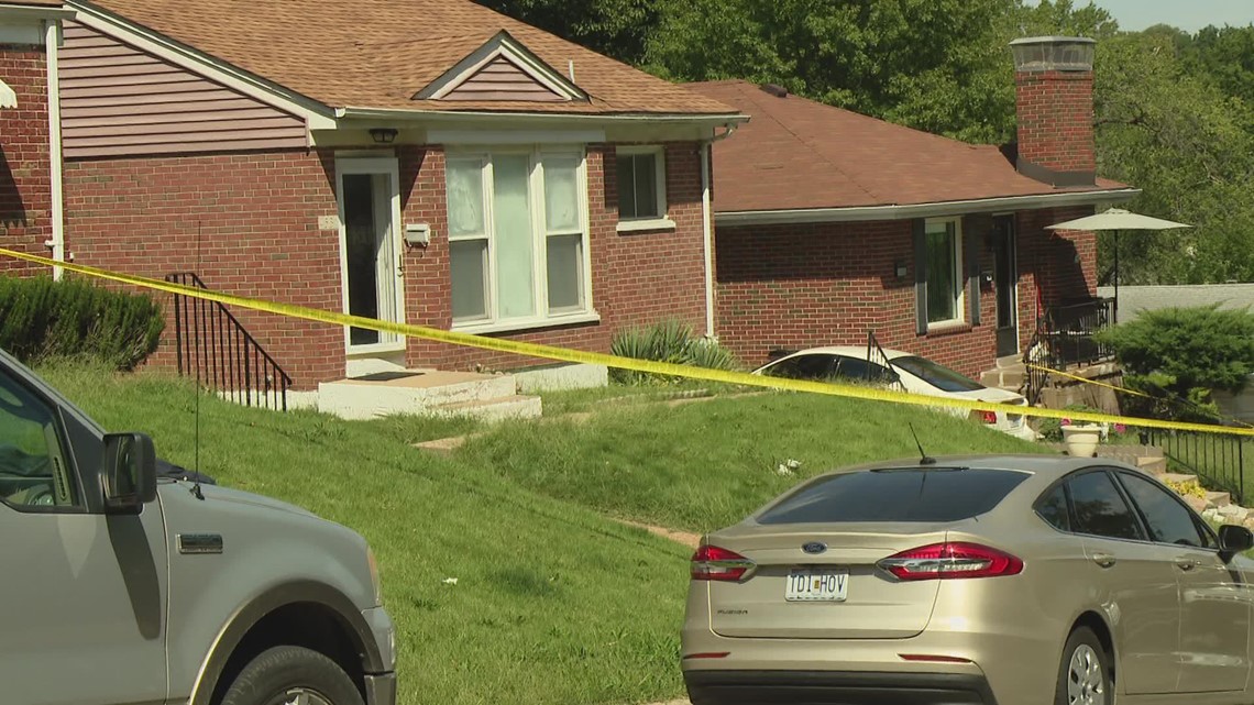 Man kills his mother in domestic shooting, St. Louis County police say ...