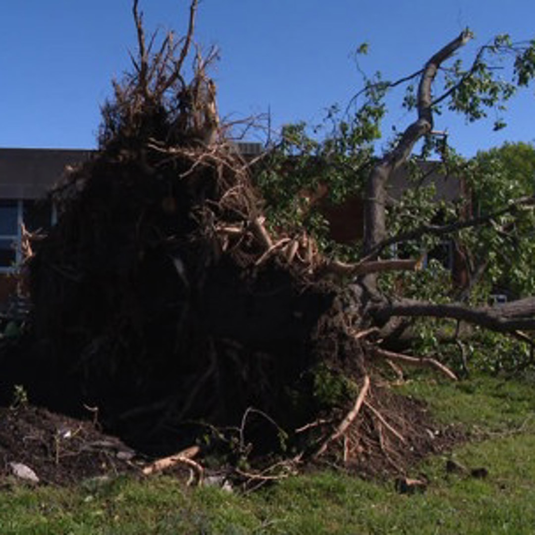 4 tornadoes touched down in Metro East. Here's what we know | ksdk.com
