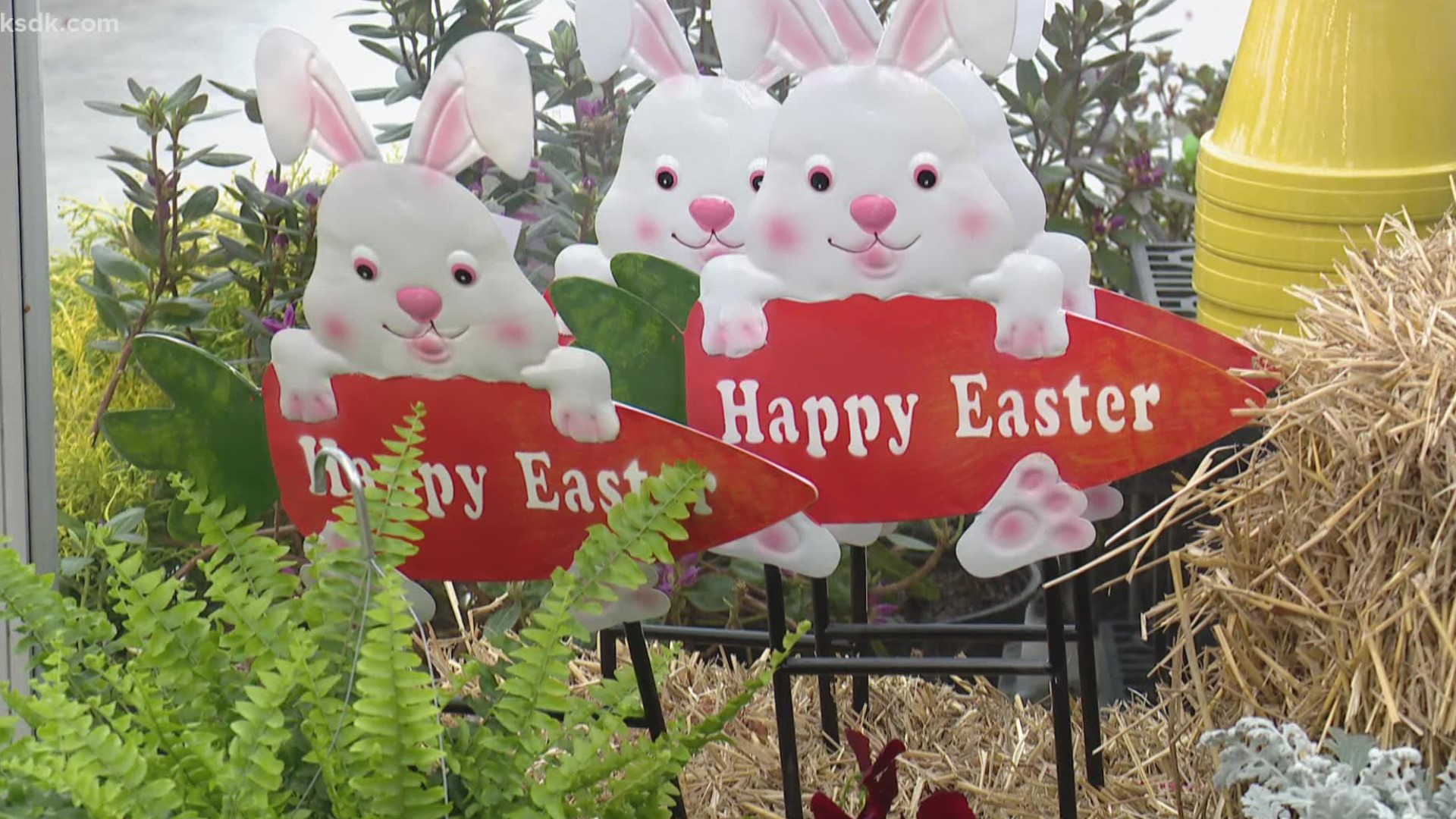 Easter activities are underway at Eckert's Farm in Belleville. Tickets for the Easter Egg hunt are limited.