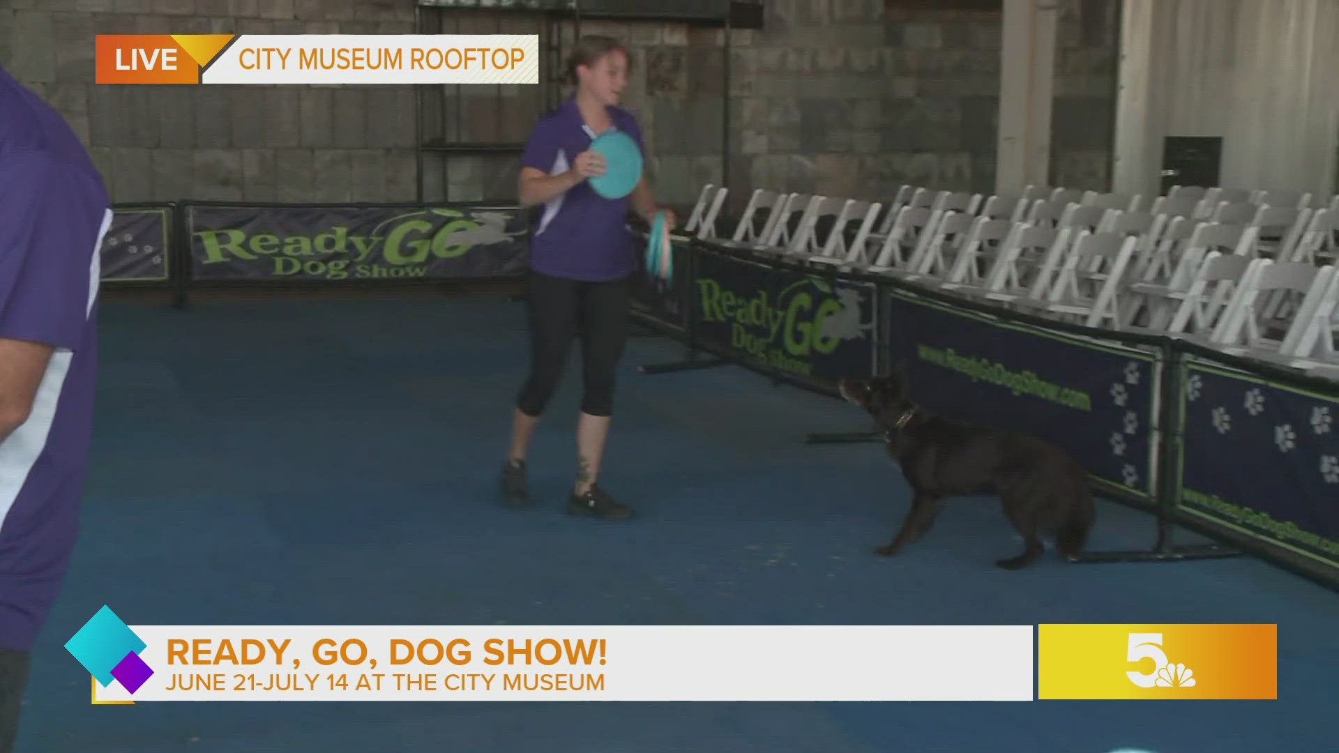 Watch the Ready, Go Dog Show from June 21-July 14 at the City Museum.