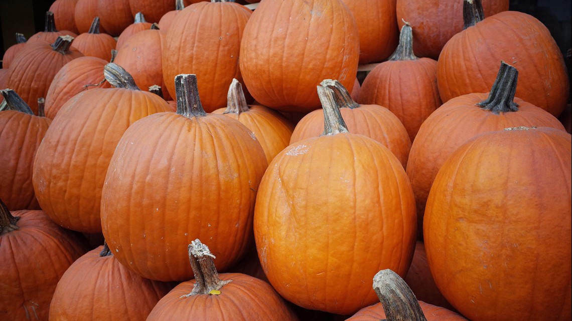 Here s A List Of All The Halloween Events Happening In The St Louis 