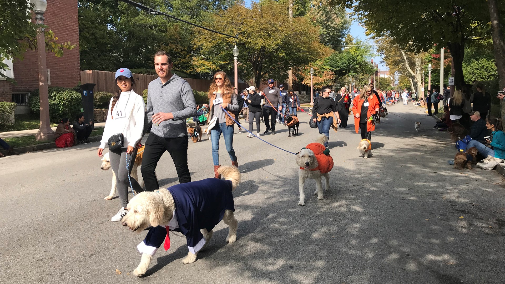 PHOTOS Dog costume parade in the Central West End