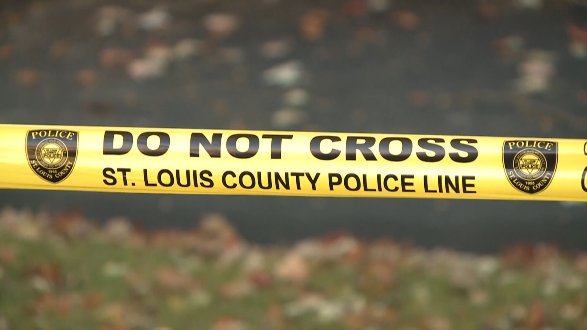 Man shot, killed in north St. Louis County | ksdk.com