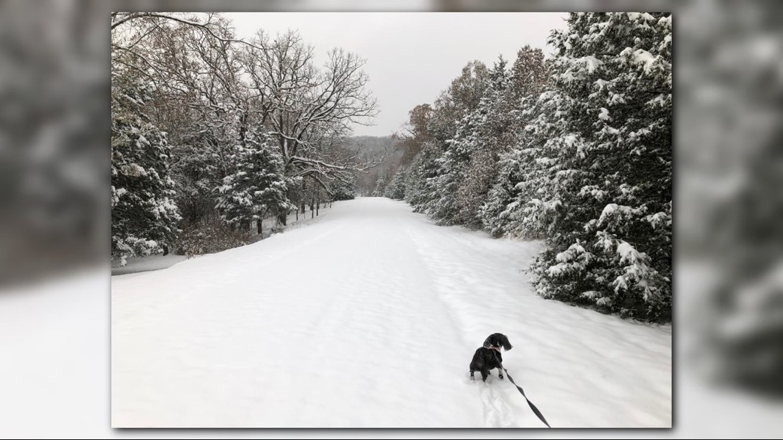 Snow-vember | A history of November snow storms in St. Louis | www.semadata.org