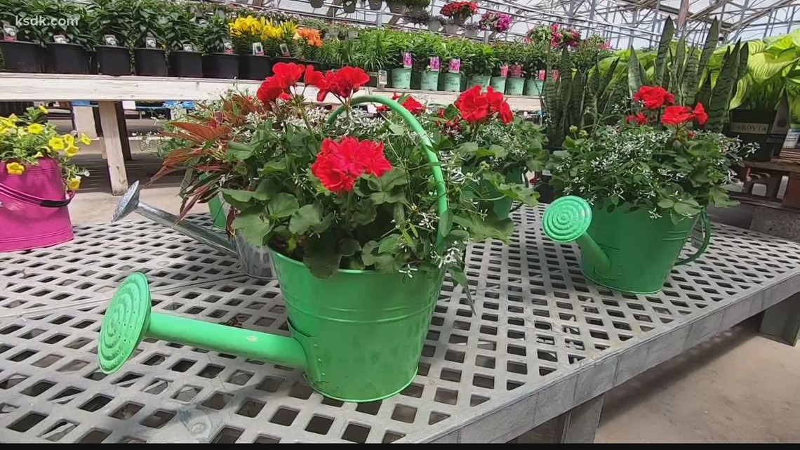 Joe's Market Basket celebrates 50 years!