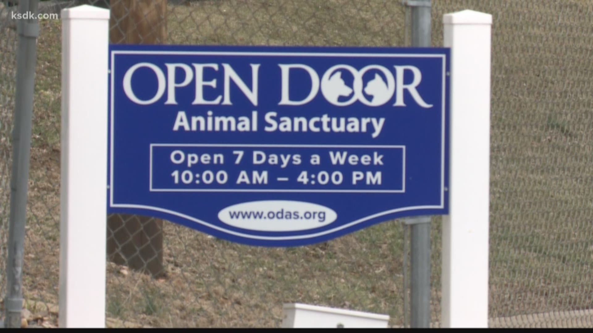 After a nearly three-month investigation, the I-Team has uncovered several allegations of potential wrongdoing involving controlled narcotics and an embattled veterinarian hundreds of miles away.