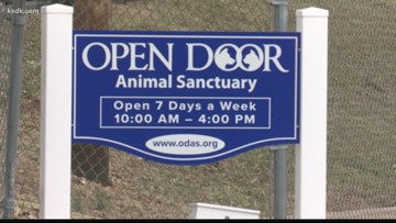 Internal Records Allege Jefferson County Animal Shelter Sold