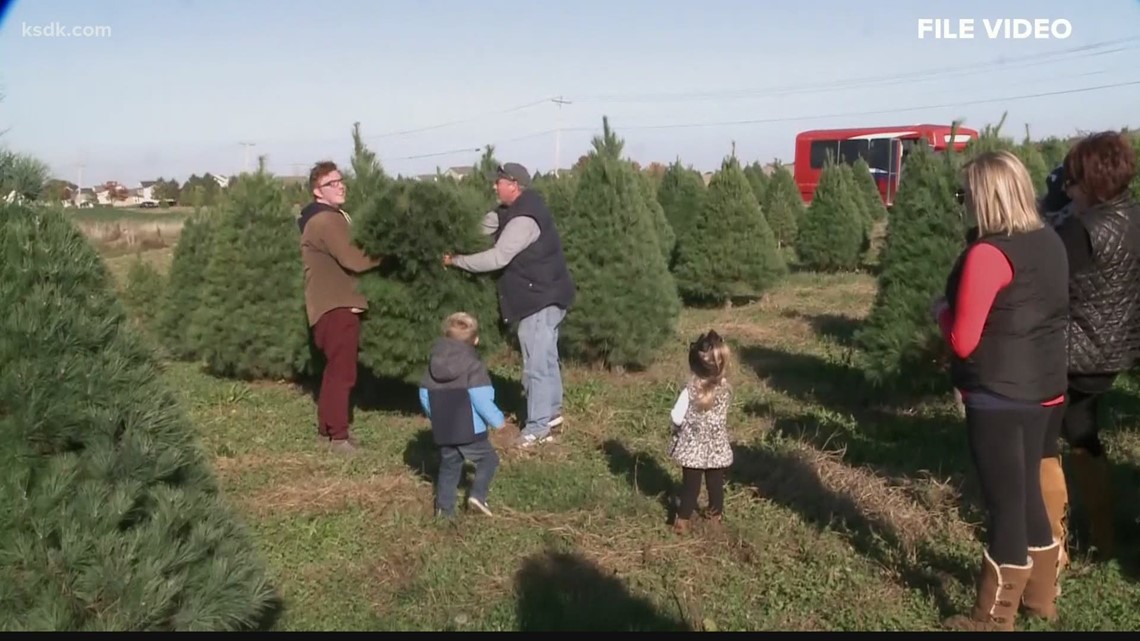 Safely Visit Santa And Cut Down Your Christmas Tree At Eckert’s Belleville Farm