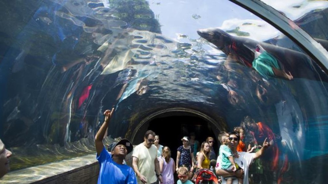 Saint Louis Zoo up for Best Zoo, exhibits in USA Today&#39;s 10Best Readers&#39; Choice Awards | mediakits.theygsgroup.com
