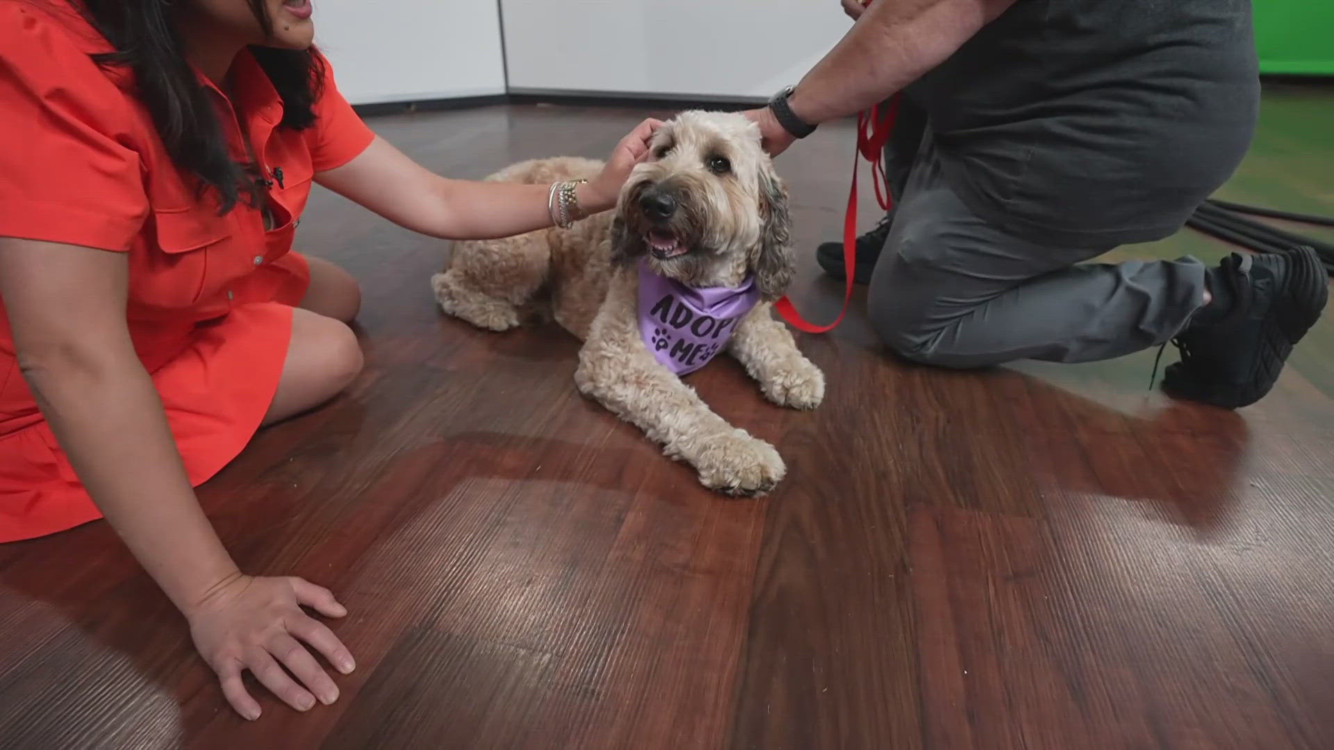 Sammy's Stars: June 27, 2025 | ksdk.com