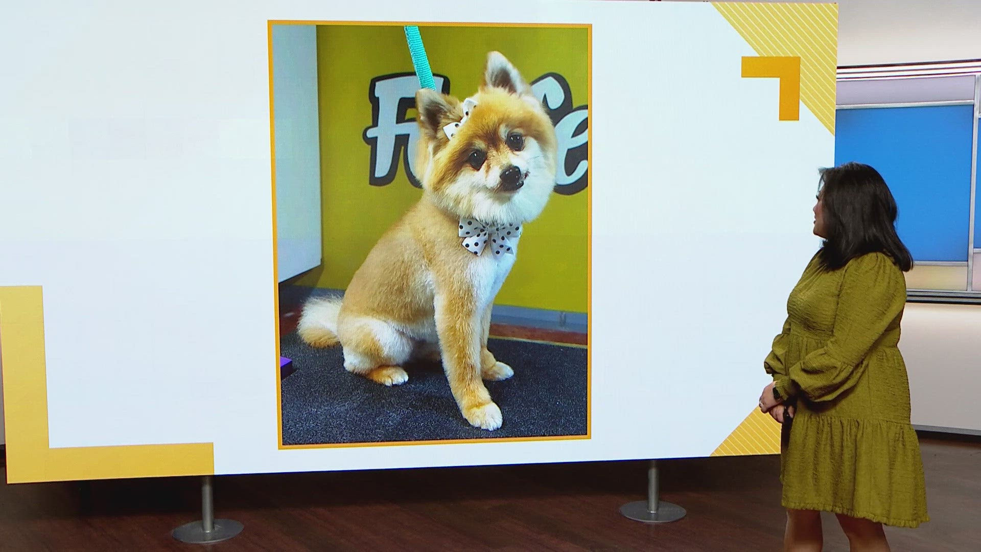 Sammy's Stars: March 19, 2024 | ksdk.com