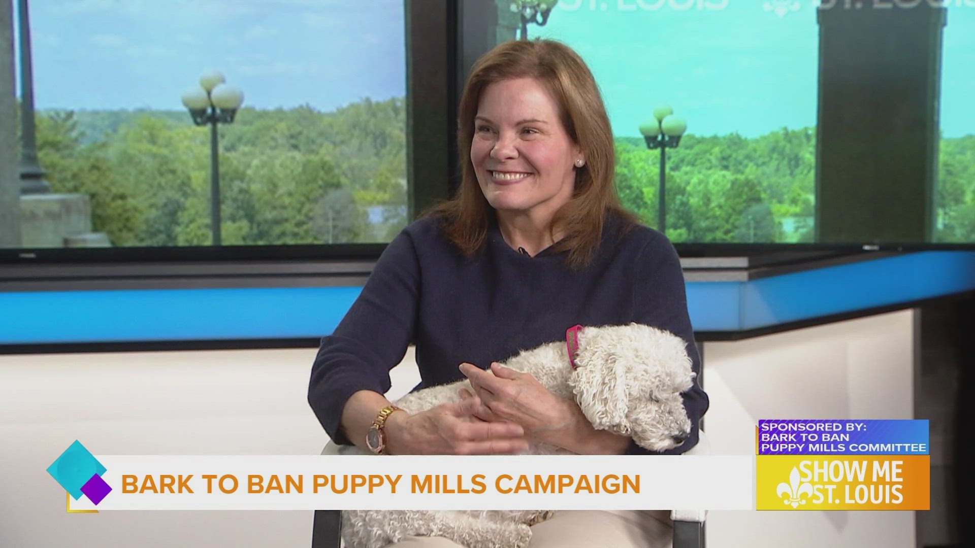 A group of animal-loving citizens created a campaign called Bark To Ban Puppy Mills.