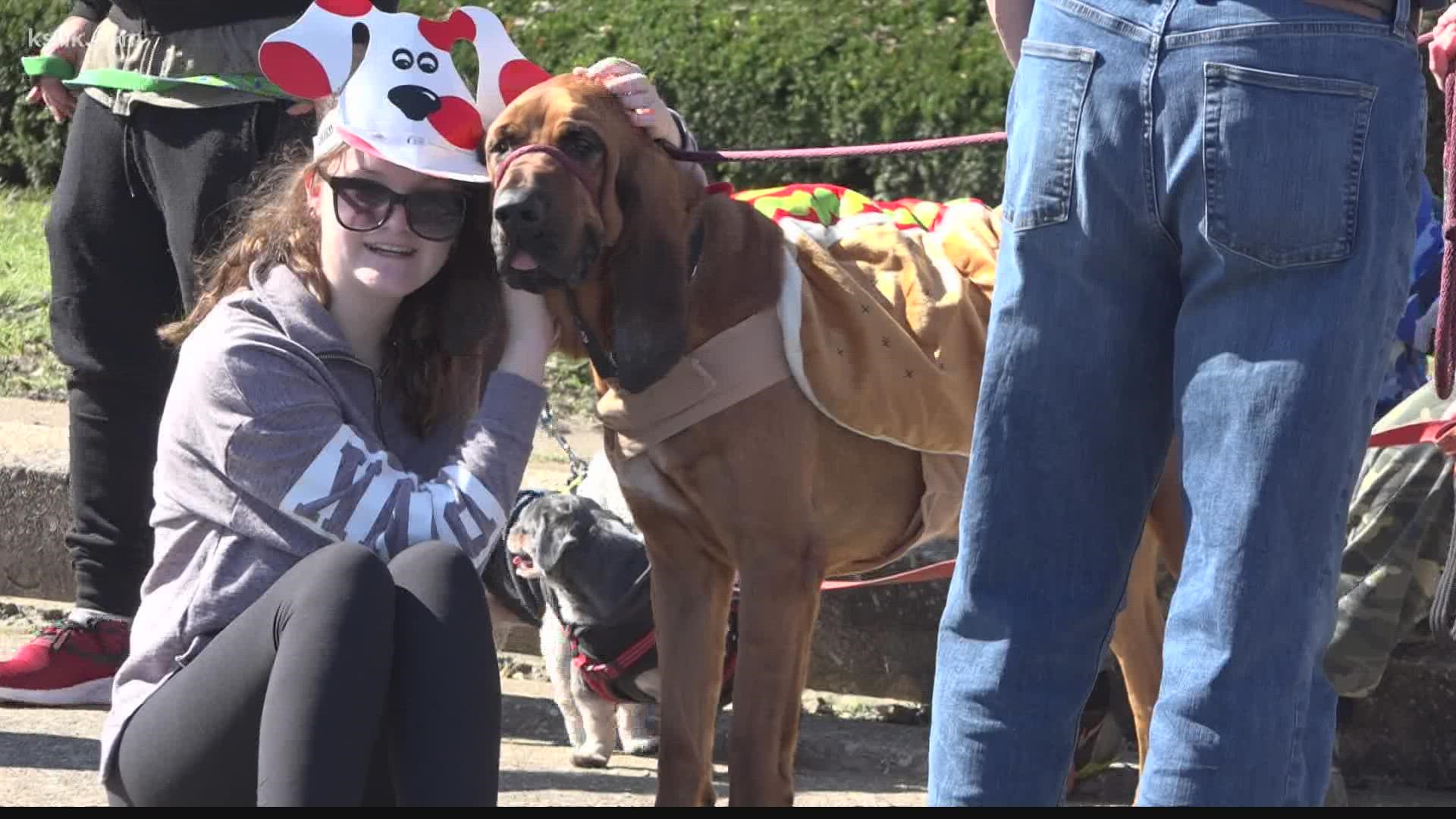 The Race for Rescues and Halloween Pet Parade brought out hundreds to help pets find a home