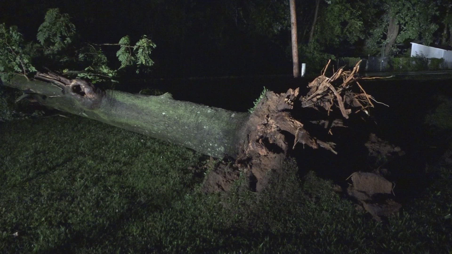 Wednesday night's storms left behind fairly minimal damage. There were some isolated reports of trees down and power outages in St. Louis and Jefferson counties.