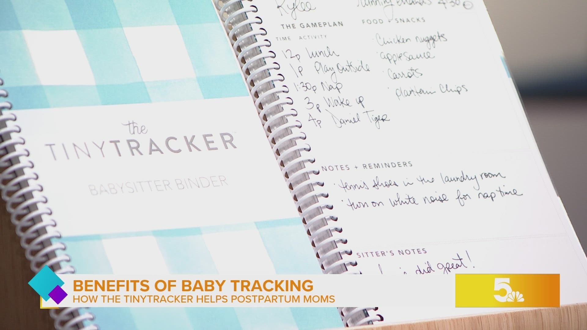 STL mother creates the first 6 month daily postpartum planner