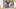 Sammy's Stars: March 27, 2023