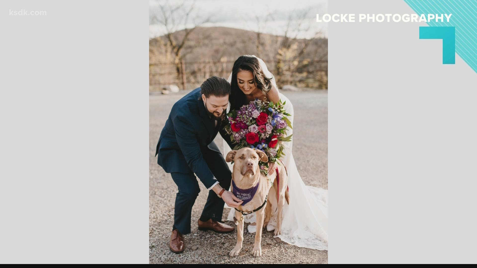 Whether it’s a ceremony role or your wedding day photos, WedPets handles all aspects of assisting with your pets on the big day.