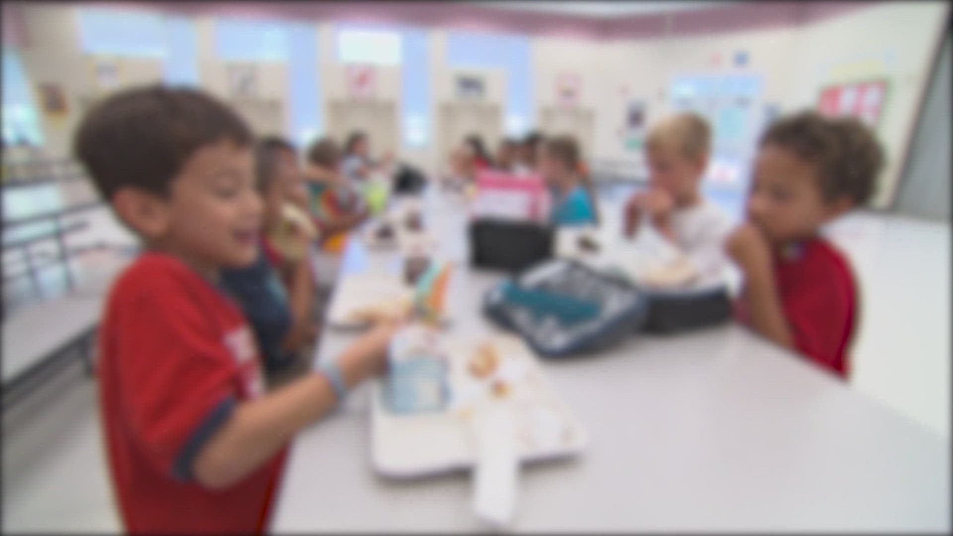 Dieticians say a healthy school lunch should have something from each food group.