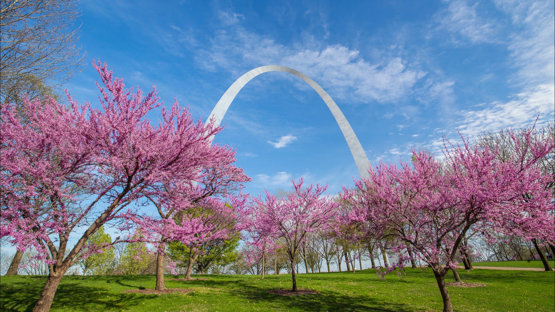 Travel + Leisure magazine named its 10 prettiest places to live in the U.S. that won't break the bank. St. Louis made No. 6 on the list.