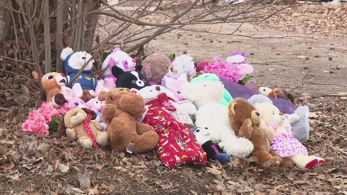 Suicide prevention support offered amid Ferguson murder-suicide - Vimarsana News
