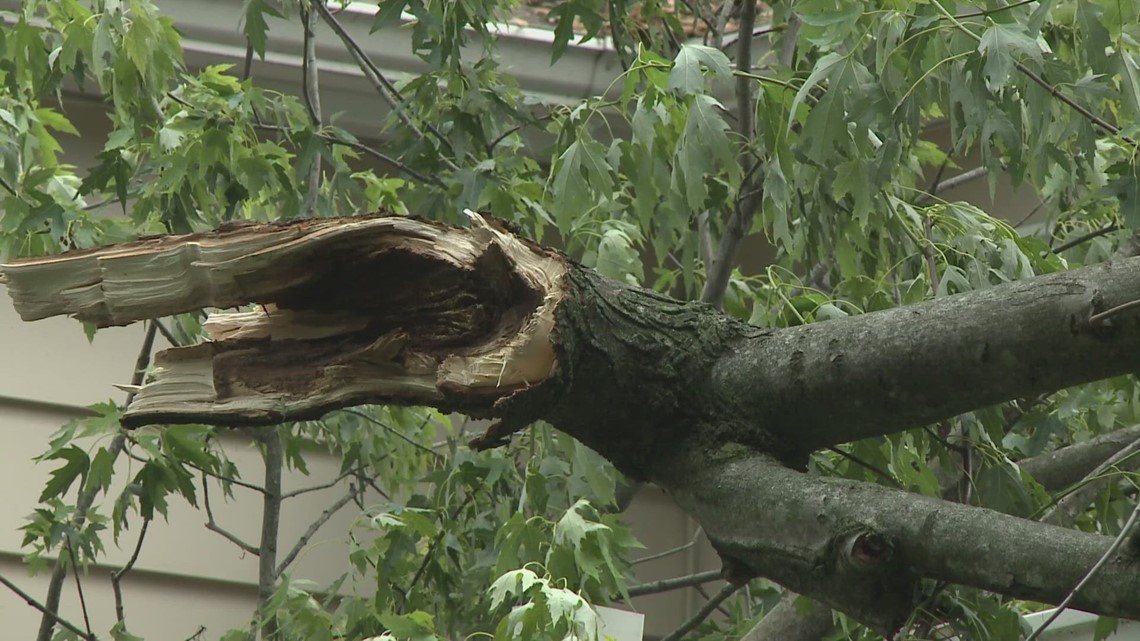 Widespread storm damage in Columbia, Illinois - Vimarsana News