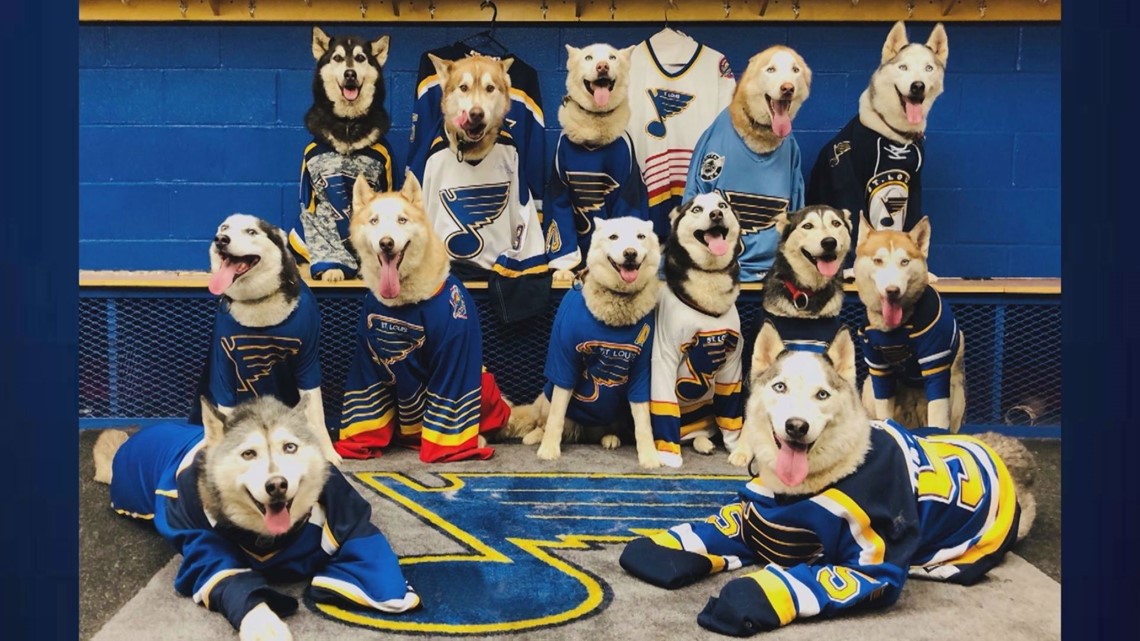 St. Louis Blues Puppy Practices With Team, Most Adorable Skate Ever!!!