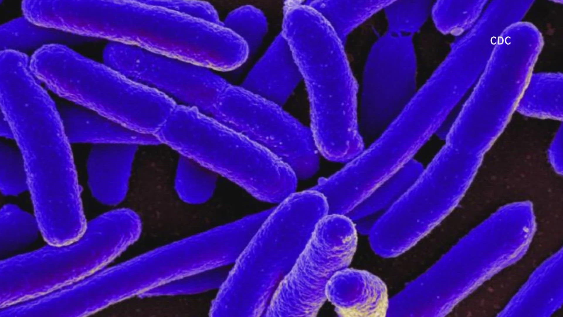 Two St. Louis-area law firms said Wednesday they have uncovered the source of a massive E. coli outbreak.