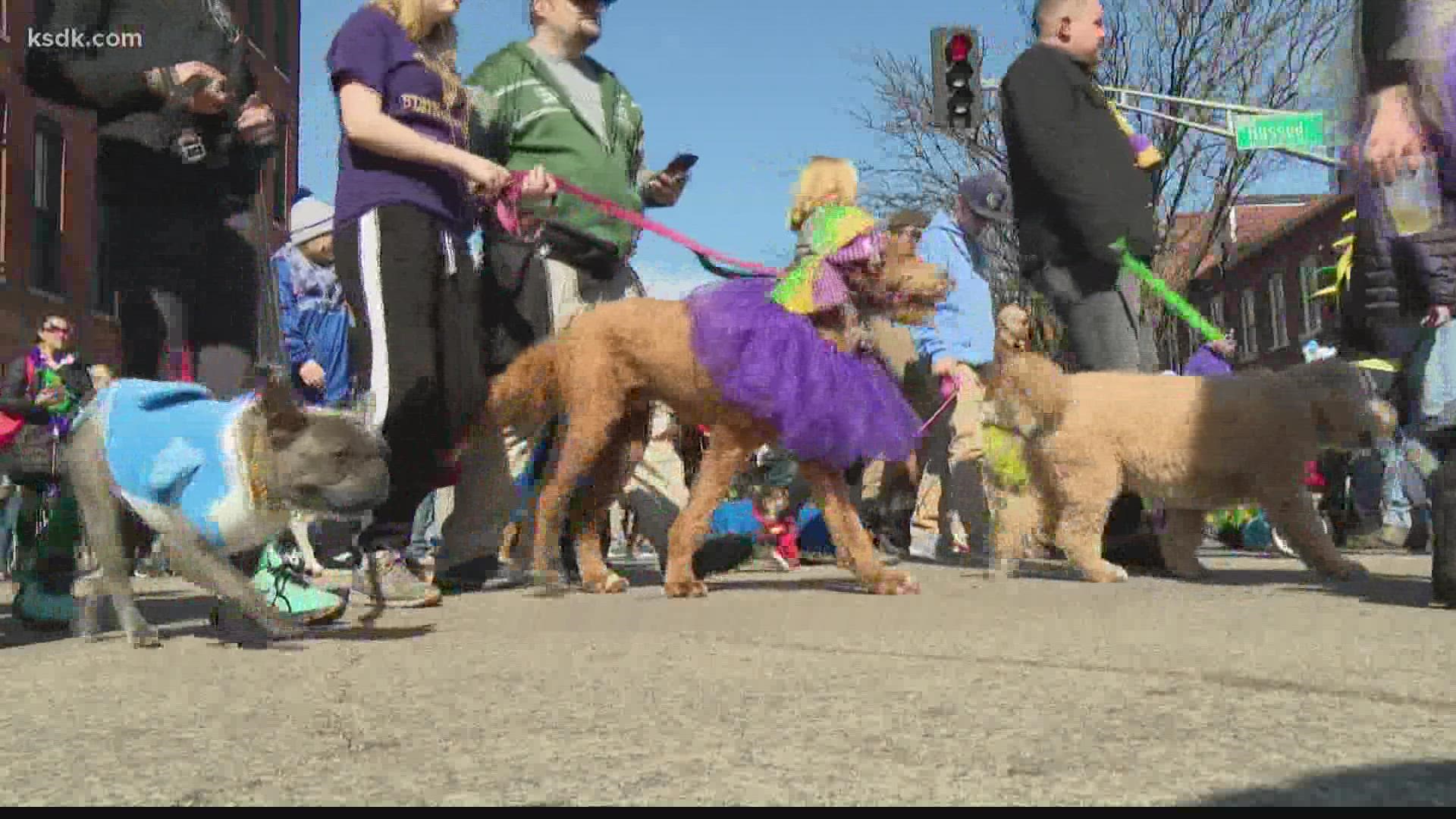 The parade is followed by the Wiener Dog Derby at 2 p.m. Record crowds are expected.