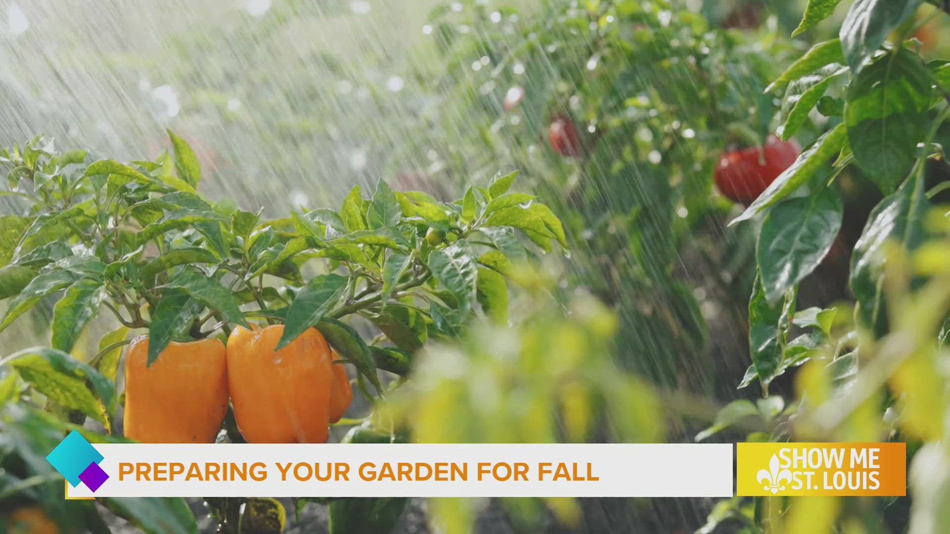 Missouri Botanical Gardens shares tips for preparing your garden for fall