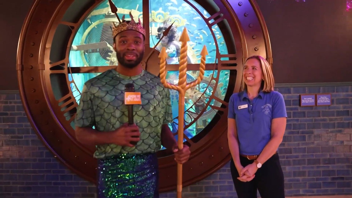 Sponsored: Mermaid encounters return to STL Aquarium for exclusive 2026 events
