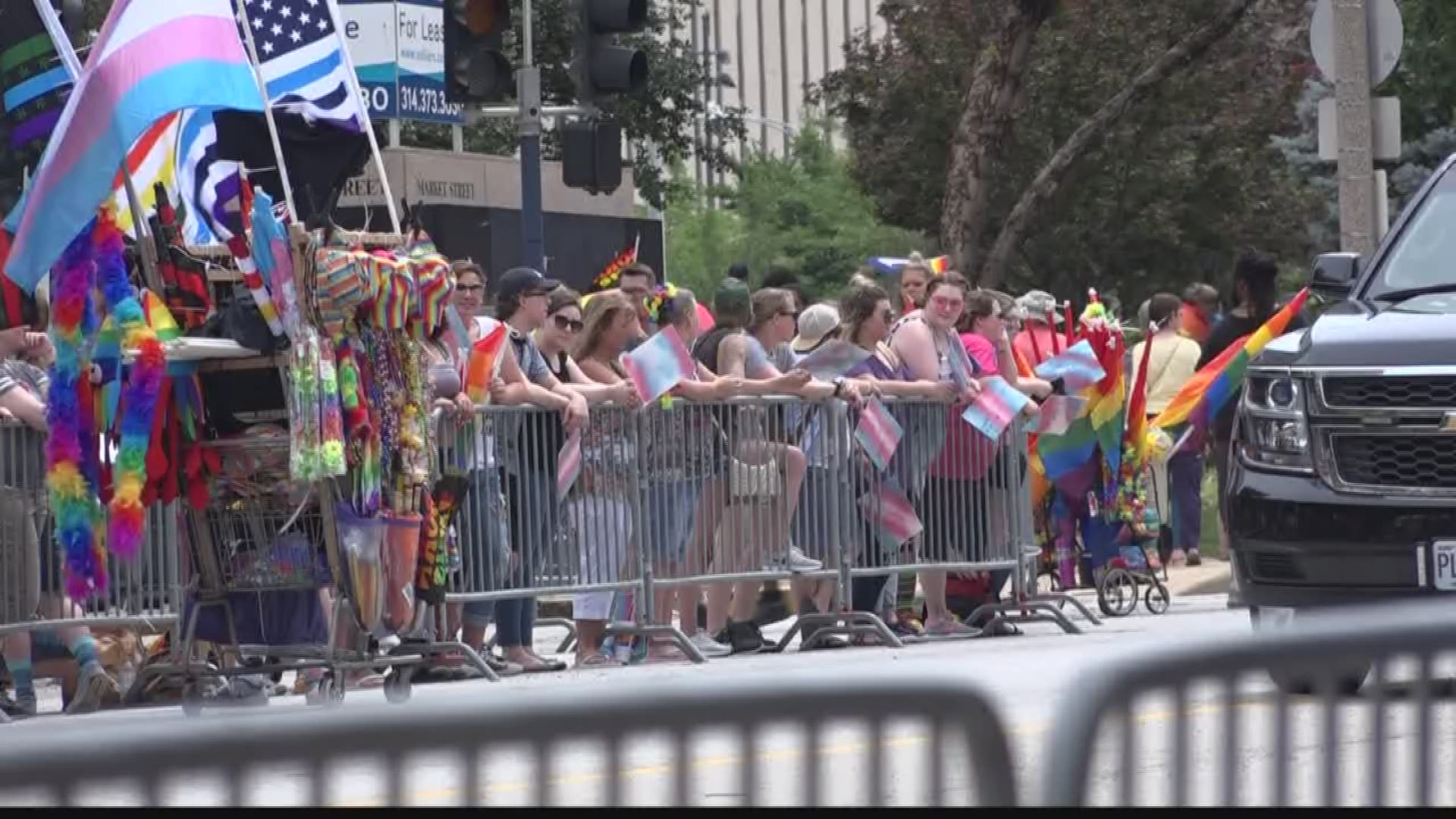 Thousands gather in St. Louis to support gay pride